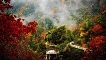 约起！四川省第十届乡村文化旅游节（秋季）11月5日开幕