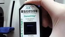一张小卡片就能检基因？DNA探针是什么黑科技？