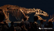 新研究：小霸王龙不是“矮暴龙”，科学家为什么要研究恐龙？