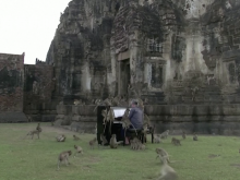 为安抚泰国景区顽猴 音乐家决定“对猴弹琴”