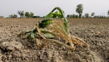 安莎社：意大利北部伦巴第大区遭史上最严重旱灾打击 已进入紧急状态