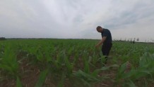 秸秆还田增加粮食产量，双辽市推广保护性耕作技术