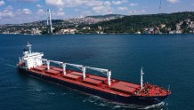 粮食出口协议签署后，乌克兰首艘运粮船货物被买家拒收