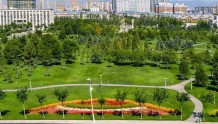 呼和浩特市人均公园绿地面积19.60平方米 居全国前列