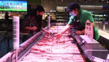 近期投放储备猪肉传递什么信号？四季度肉价会大幅波动吗？