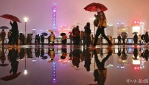 如何为基层“雨中撑伞”｜上海一周