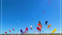 颜值与实力并存，潍坊风筝又上天了！