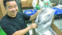 珠海市祺海水产科技有限公司杨映辉：他与鱼的故事，助推行业发展