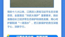 一图读懂丨长江江豚保护中心为何建在江西？