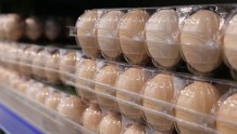市场上出现了人造鸡蛋，而且成本只要1角钱？别信！