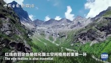 聚焦COP15-2｜为了环保 中国默默干了一件大事（中国日报）