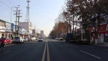 明港镇：道路树枝压电线，分段式修剪消隐患