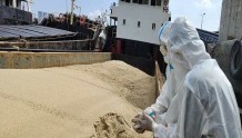 宁波海警查获非法砂船12艘涉案62人 查扣海砂超万吨