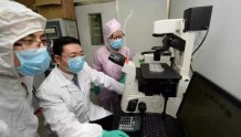 浙大新型细胞治疗技术登上《自然》杂志 临床结果令人欣喜