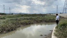 一线调查丨堤防整治提升 宁波洞桥沿江多个村庄为何水患依旧？