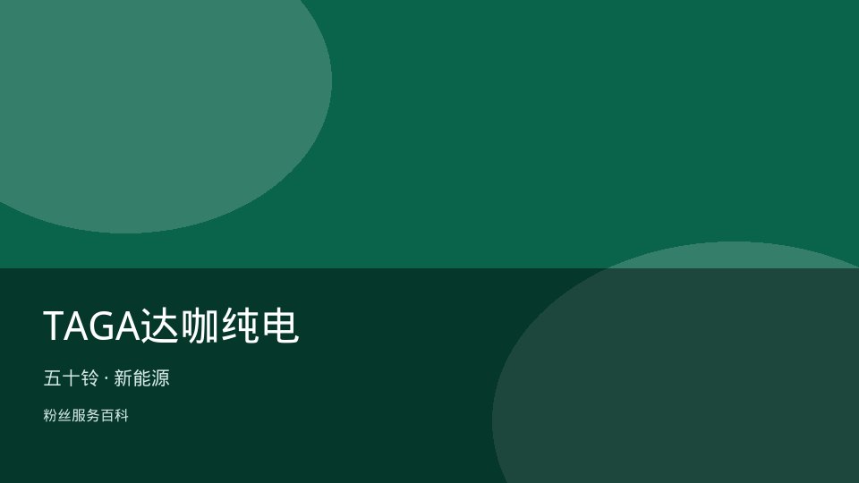 TAGA达咖纯电
