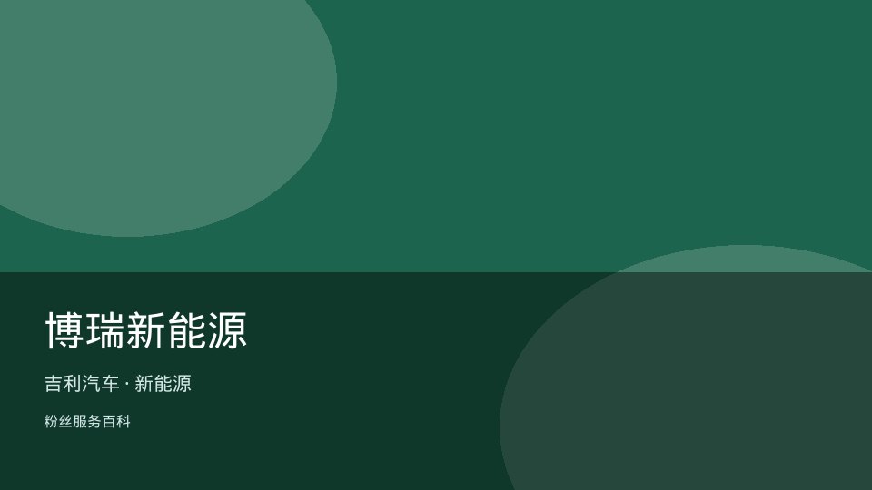 博瑞新能源
