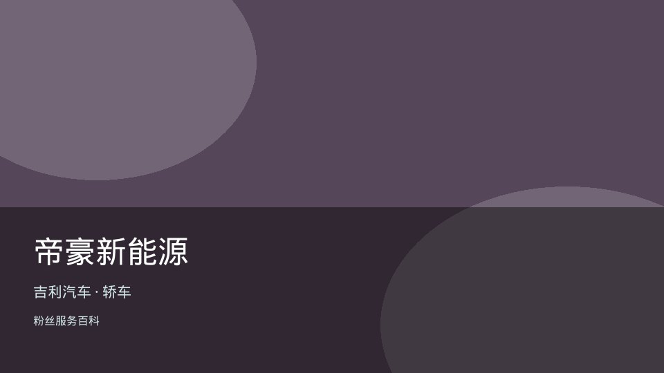 帝豪新能源