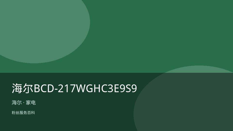 海尔BCD-217WGHC3E9S9