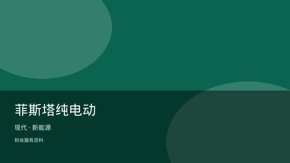 菲斯塔纯电动