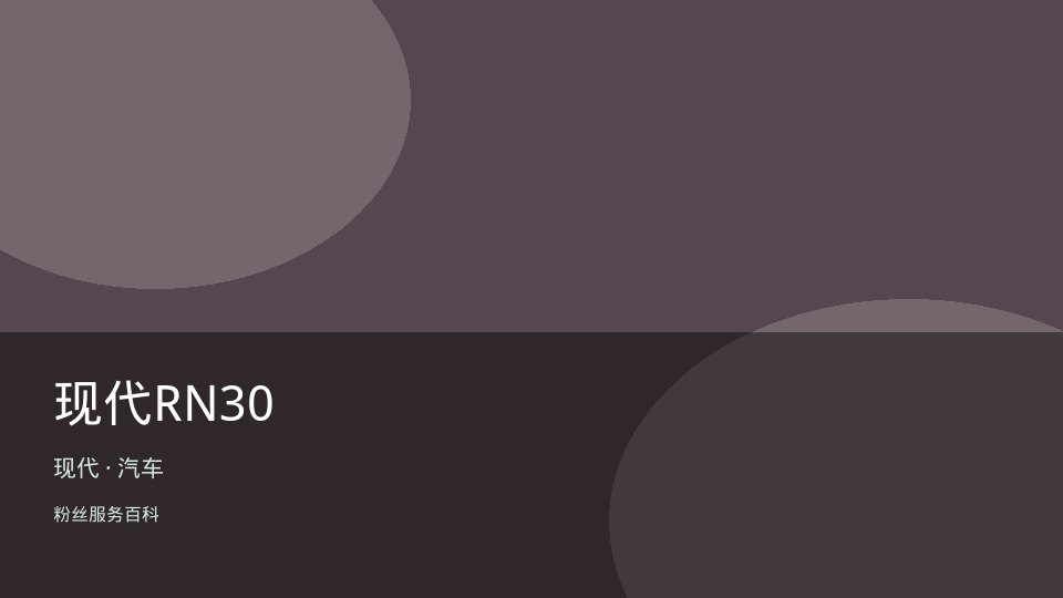 现代RN30