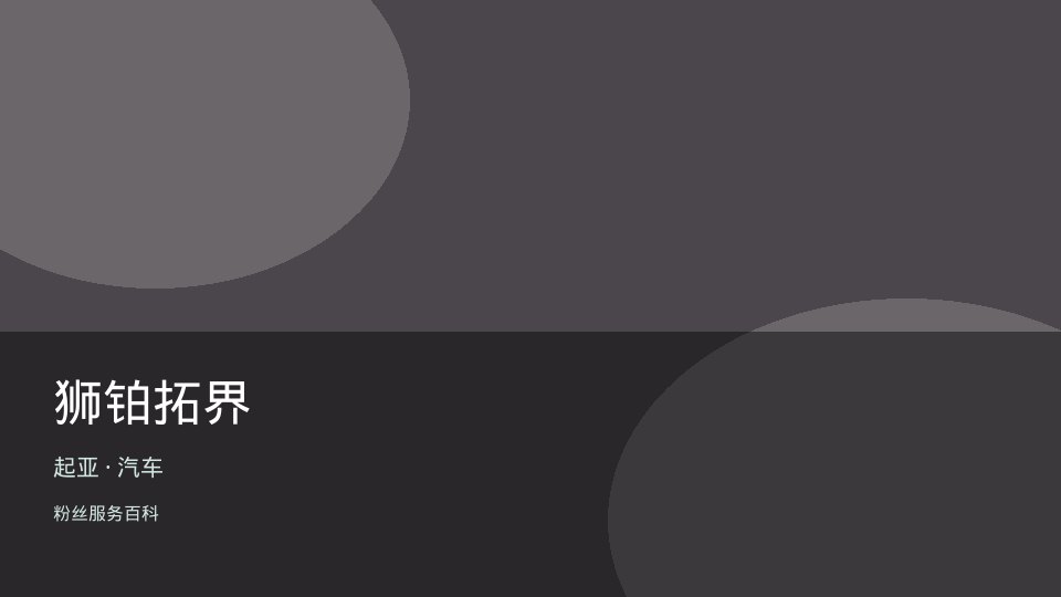狮铂拓界
