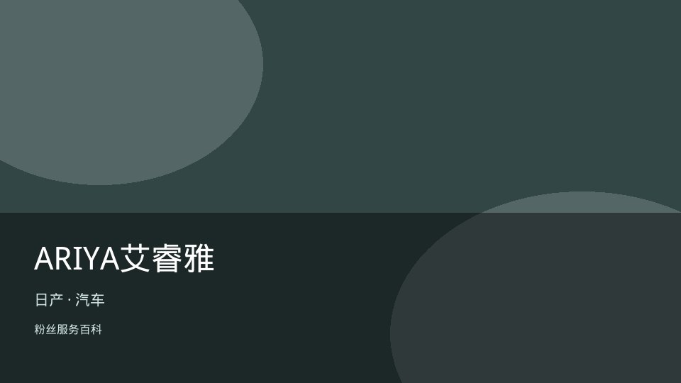 ARIYA艾睿雅
