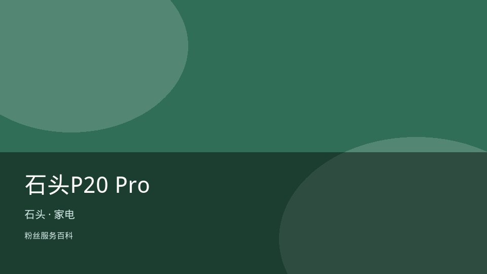 石头P20 Pro 标准版