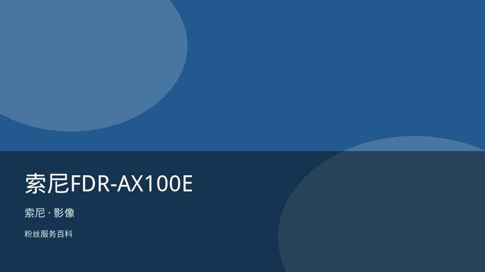 索尼FDR-AX100E