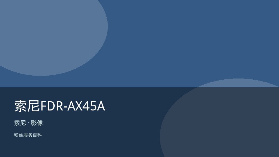 索尼FDR-AX45A