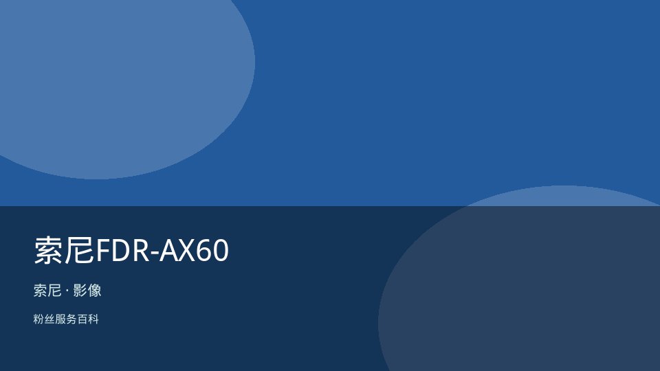 索尼FDR-AX60