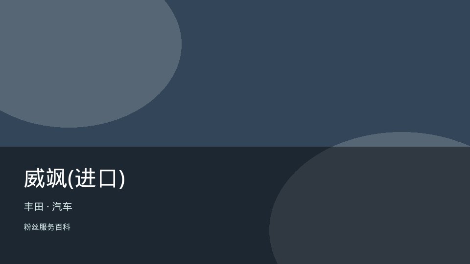 威飒(进口)