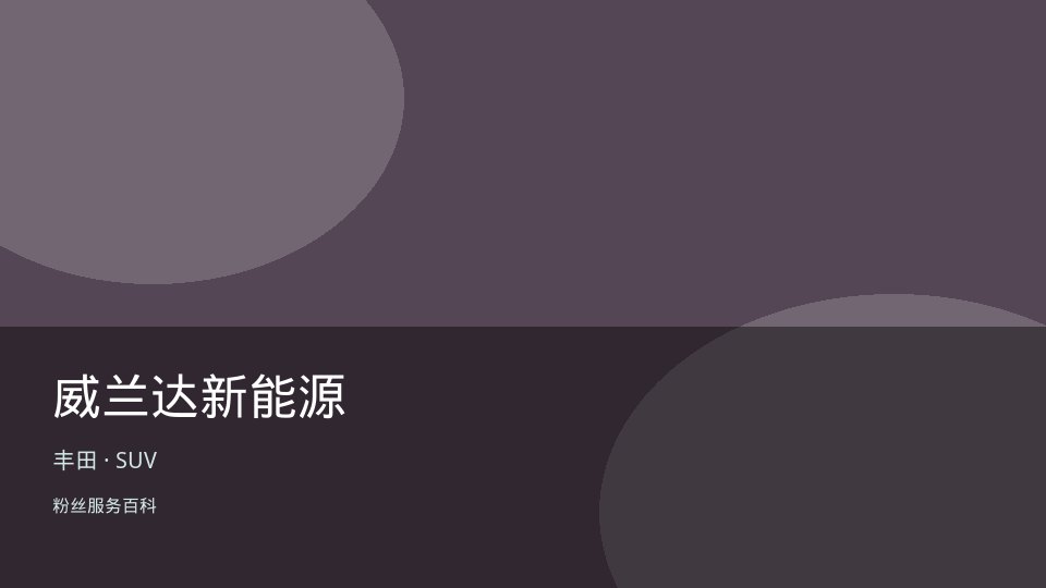 威兰达新能源