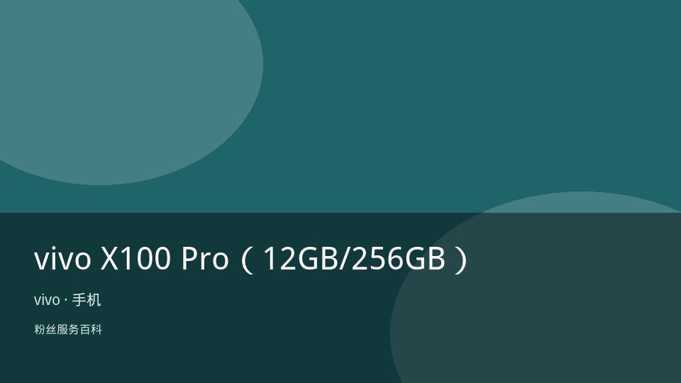 vivo X100 Pro（12GB/256GB）