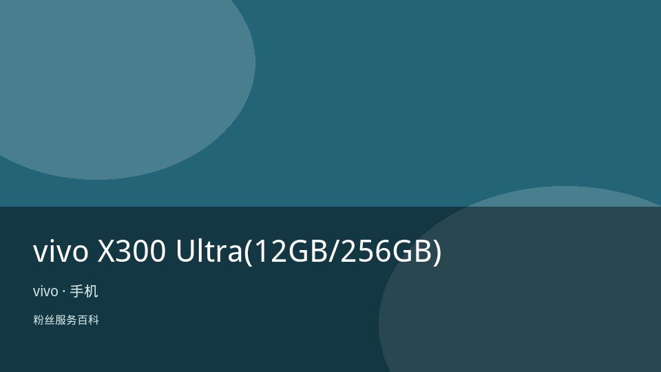 vivo X300 Ultra(12GB/256GB)