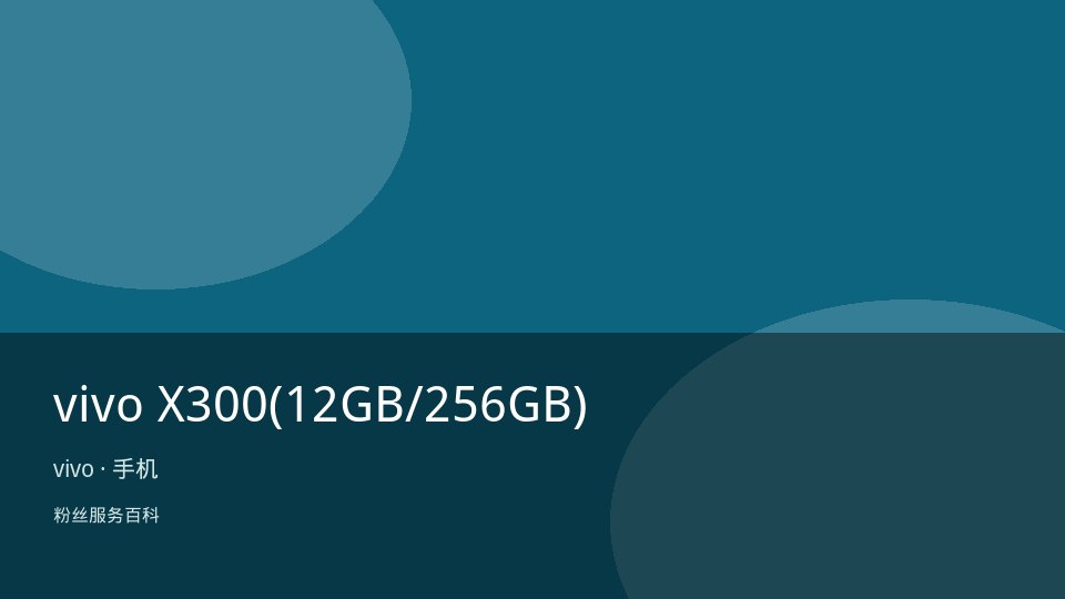 vivo X300(12GB/256GB)