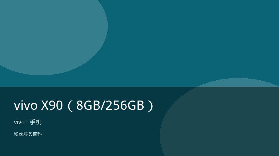 vivo X90（8GB/256GB）