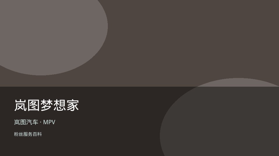 岚图梦想家