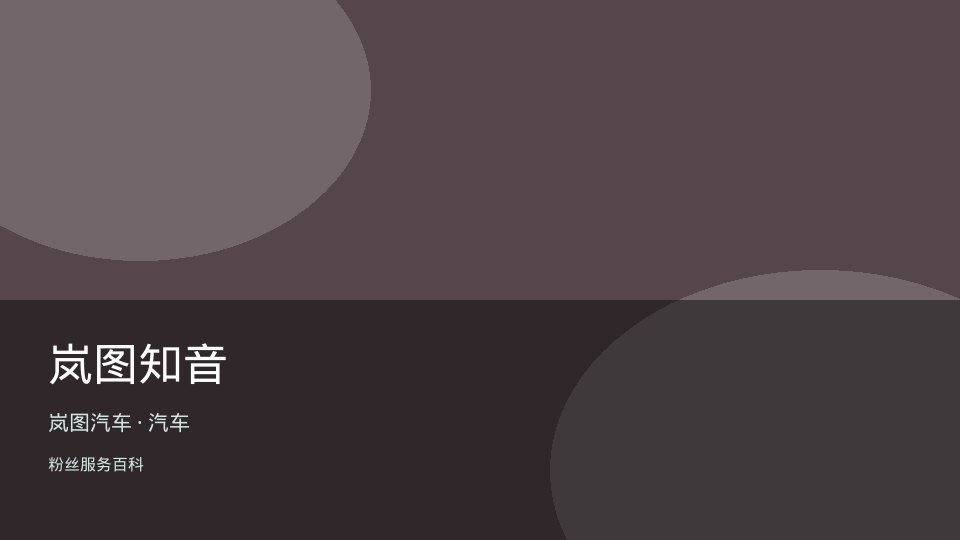 岚图知音