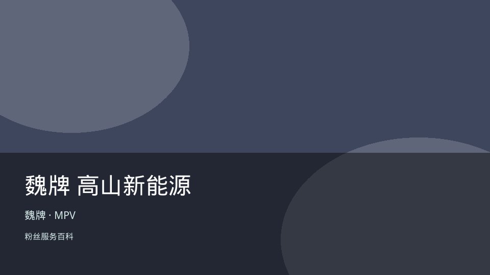 魏牌 高山新能源