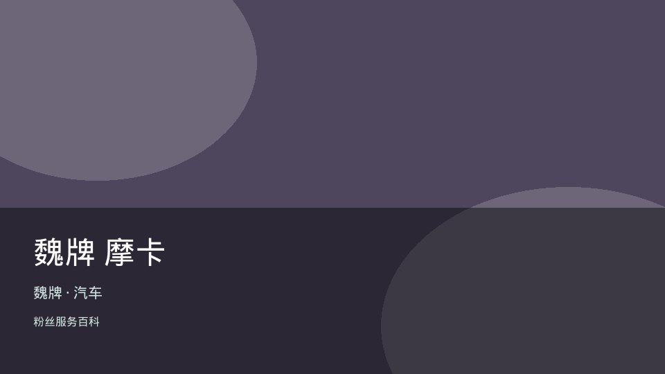 魏牌 摩卡