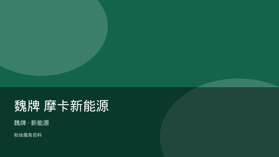 魏牌 摩卡新能源