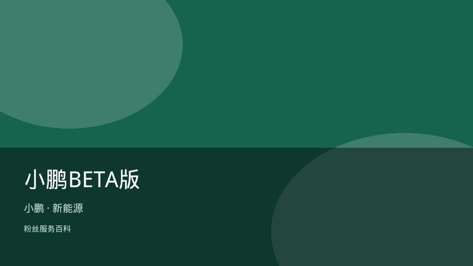 小鹏BETA版